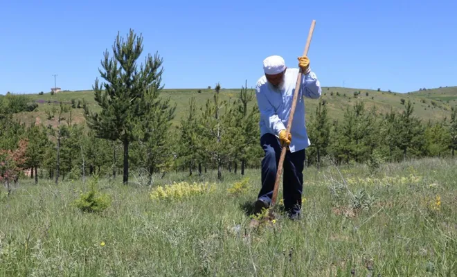 7 ilde çiftçiye hazineden ücretsiz arazi verilecek? Bu illerde Elazığ Var mı?