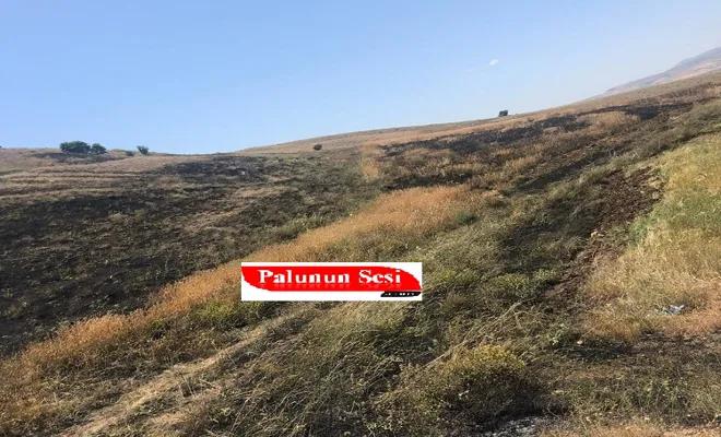 Yanan çöplük buğday tarlasını küle çevirdi-VİDEO