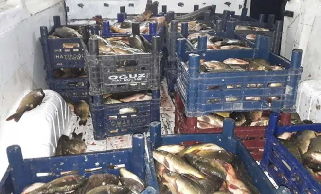 Elazığ'da kaçak balık avlayan kişiye 10 bin TL ceza kesildi 