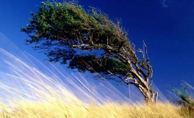 Meteorolojiden Doğu Anadolu için "kuvvetli" rüzgâr uyarısı