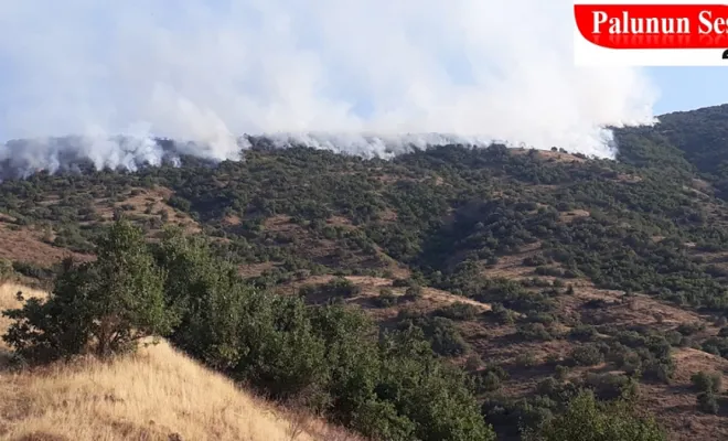  Orman Yangını Söndürülemiyor