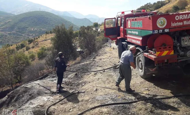 Elazığ'da çıkan yangında 10 dönümlük üzüm bağları zarar gördü 