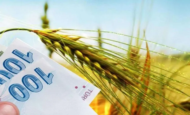 Hububat ve yem destek ödemeleri başladı 