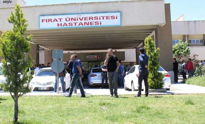 Dut ağacından düşen şahıs vefat etti 