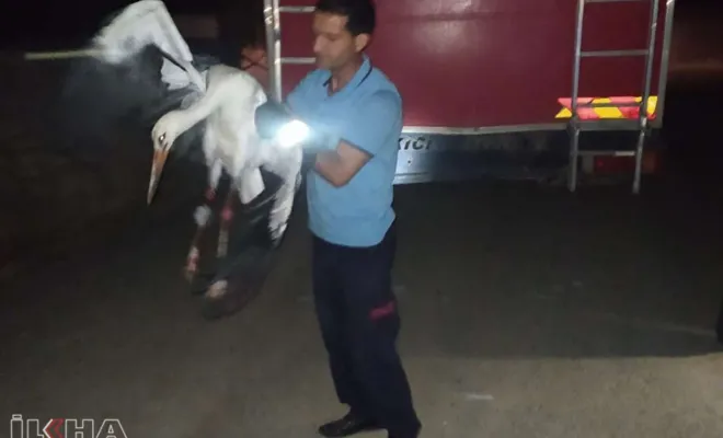 Palu`da Elektrik tellerine takılı leylek itfaiye tarafından kurtarıldı