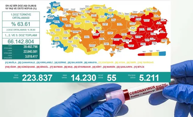 Türkiye'nin son 24 saatlik Covid-19 tablosu: 55 can kaybı 14 bin 230 vaka 