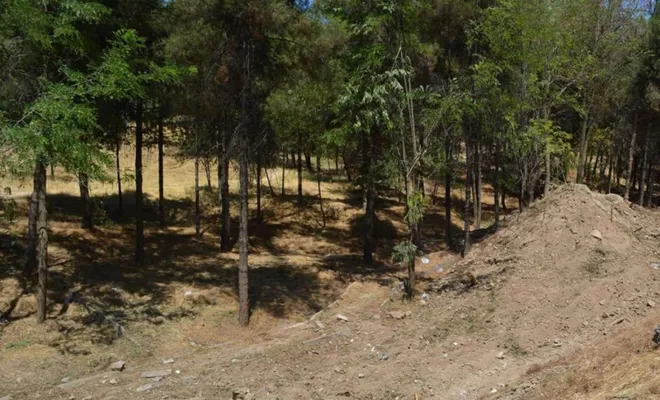 Elazığ'da ormanlık alanlara giriş 2 ay yasaklandı