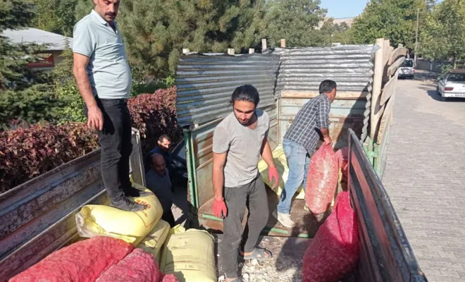 Palu’da çiftçilere sarımsak tohumu dağıtıldı 