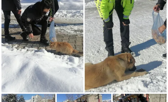 Palu'da Polisler Sokak Hayvanlarını Unutmadı 