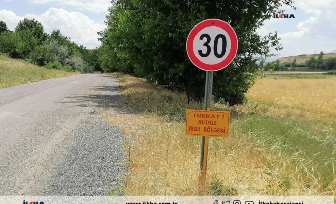 Palu'da bir köyde kuduz vakası görüldü 